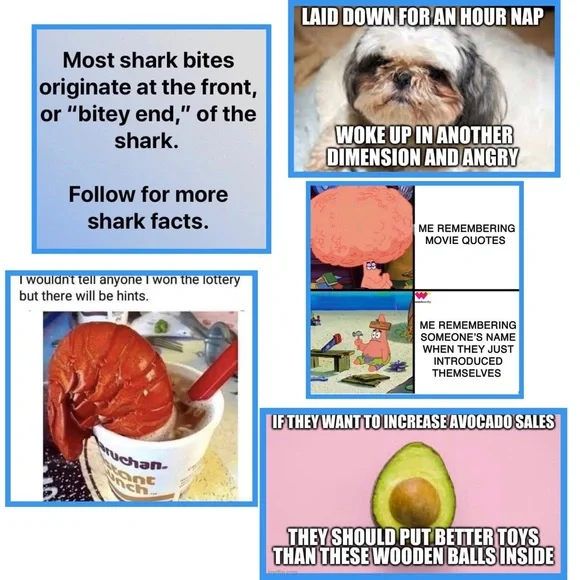 Meet the Posher - Picture 9 of 11